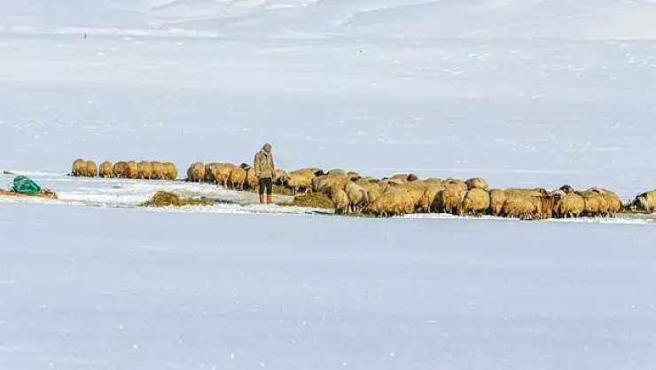 Kar yağışı üzerken güldürüyor