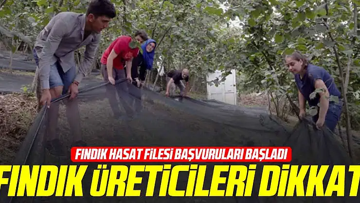Fındık Üreticileri Dikkat!