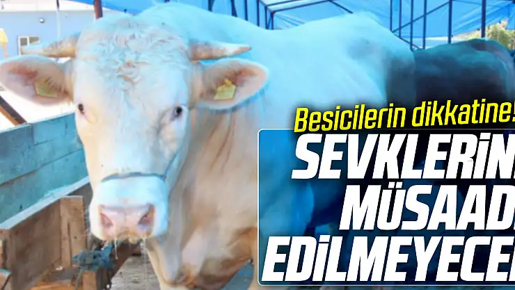 Besicilerin Dikkatine! Sevklerine Müsaade Edilmeyecek