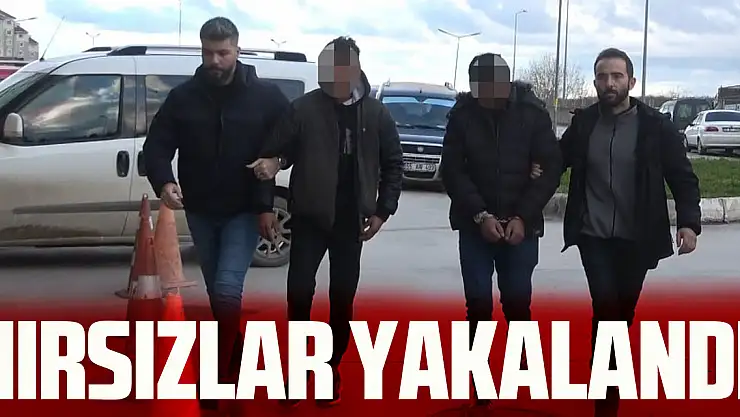 HIRSIZLAR YAKALANDI