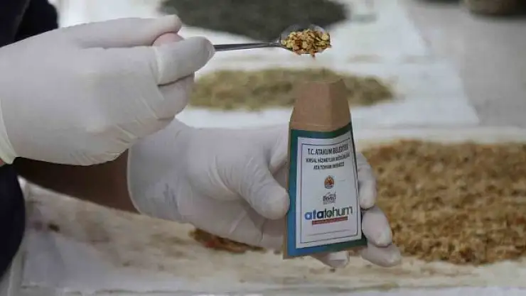 Atakum'dan geleceğe taşınıyor