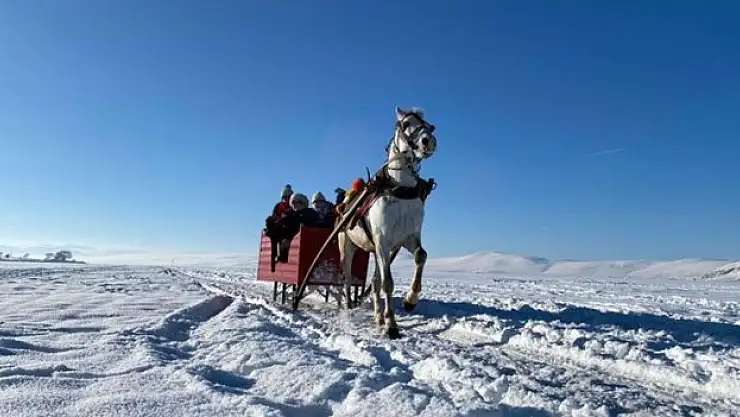 Çıldır Gölü'nde heyecan sürüyor