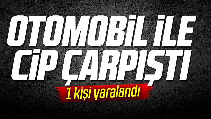 Otomobil ile Cip Çarpıştı
