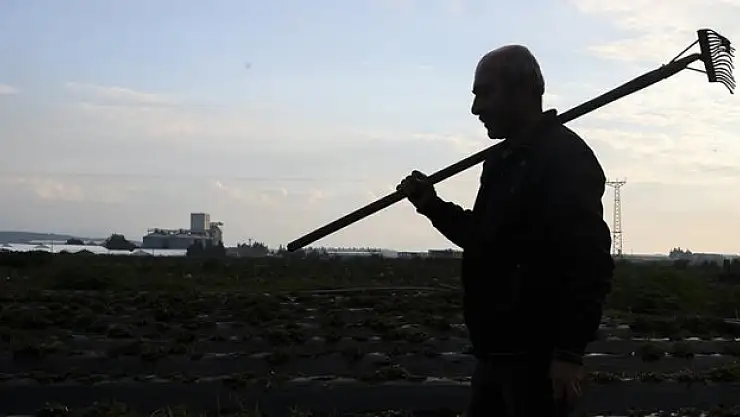 Hatay yaralarını toprak ile saracak