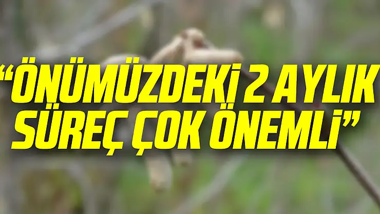 'Önümüzdeki 2 aylık süreç çok önemli'