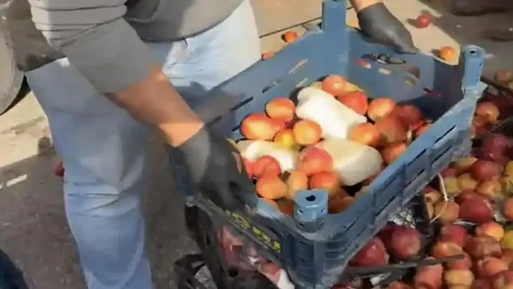 Elma değil uyuşturucu kasası