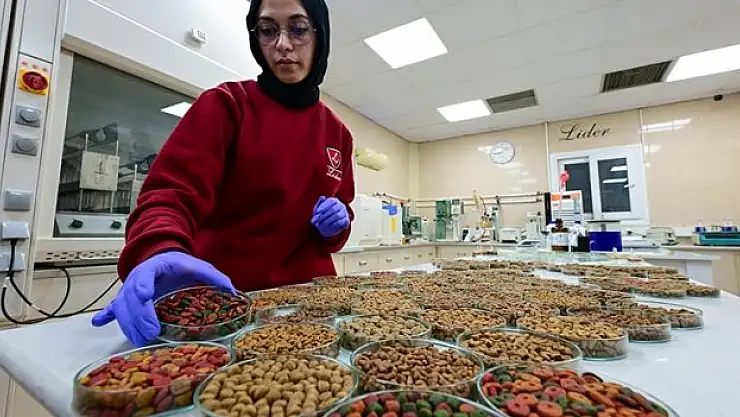 Mama ihracatı Yatırımları Artırdı