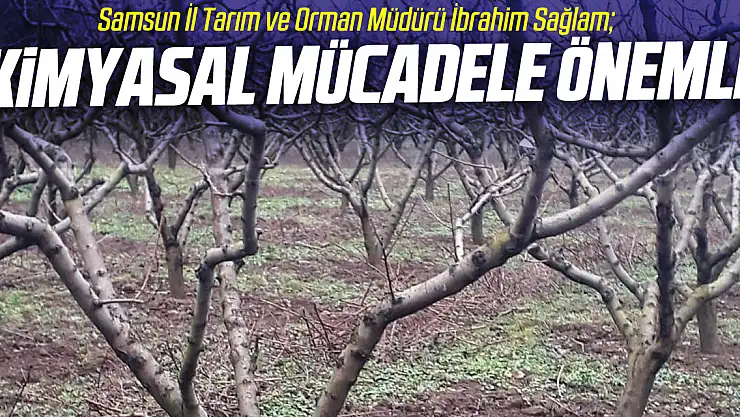 'Kimyasal mücadele önemli'