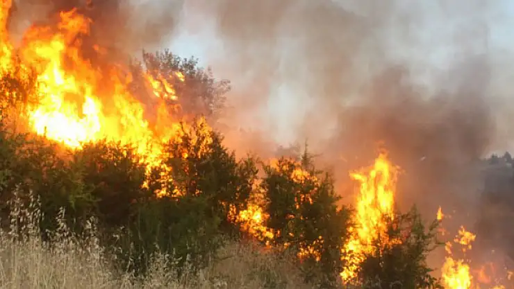 BAHÇE YANGININDA HASAR OLUŞTU