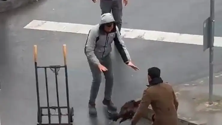 horoz ortalığı birbirine kattı