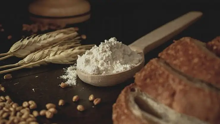 İhracat 282 milyon dolara çıktı