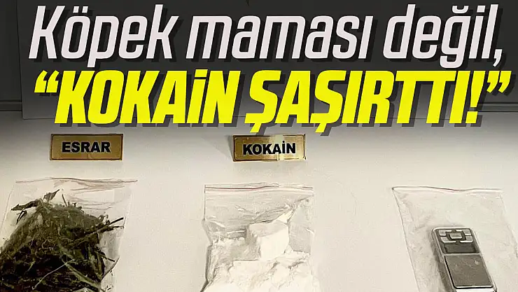 KÖPEK MAMASI DEĞİL, 'KOKAİN ŞAŞIRTTI!'