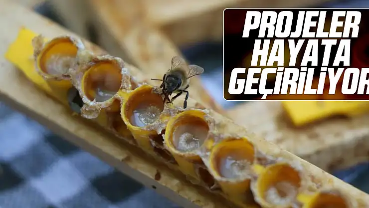 Projeler Hayata Geçiriliyor