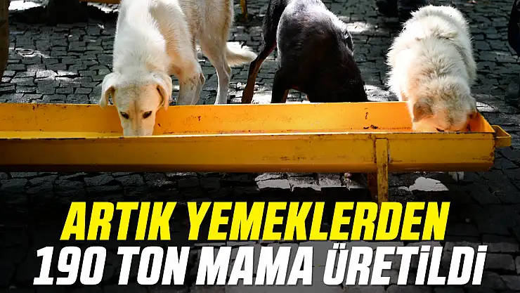 ARTIK YEMEKLERDEN 190 TON MAMA ÜRETİLDİ