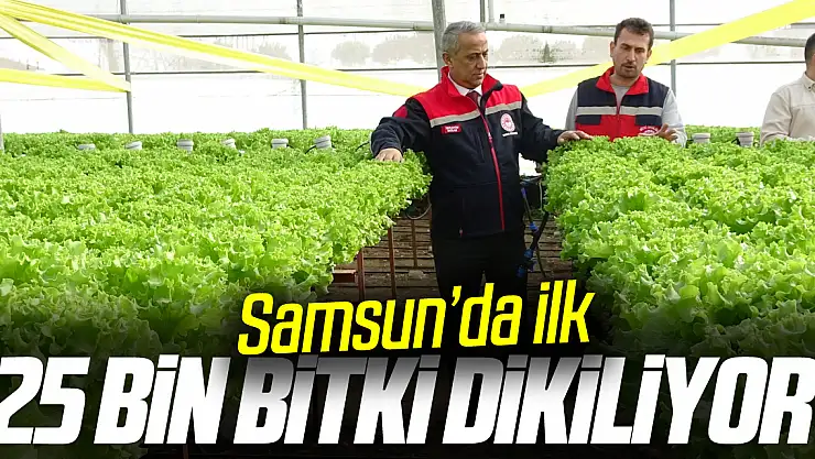 '25 bin bitki dikiliyor'