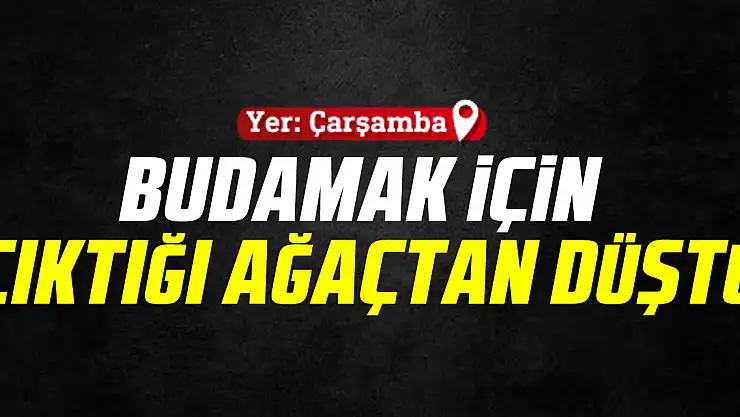 BUDAMAK İÇİN  ÇIKTIĞI AĞAÇTAN DÜŞTÜ