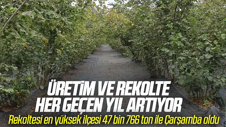 Üretim ve Rekolte Her Geçen Yıl Artıyor