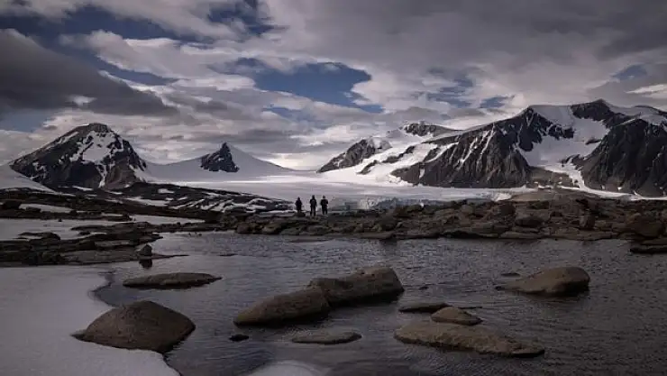 Bakteriler, ticarete dönüyor