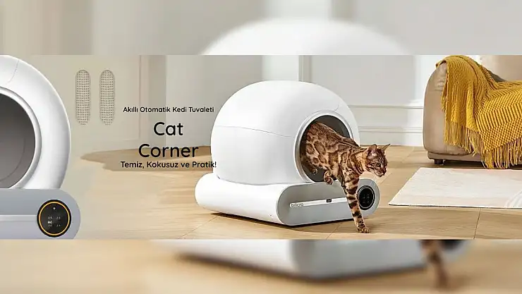 Kum Temizlemeye Son! En Çok Tercih Edilen Otomatik Kedi Tuvaleti Tavsiyeleri