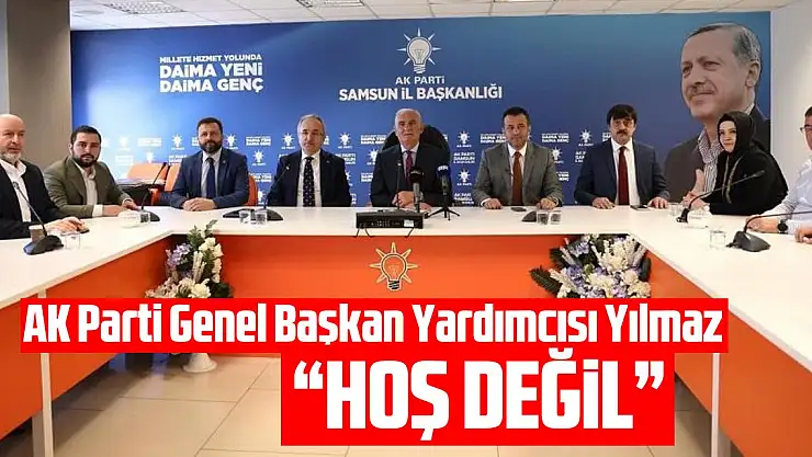 Yusuf Ziya Yılmaz, 'Hoş değil'