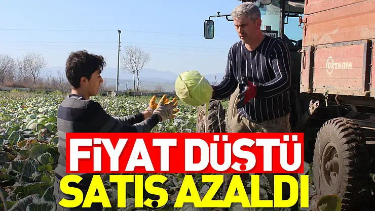 FİYAT DÜŞTÜ, SATIŞ AZALDI