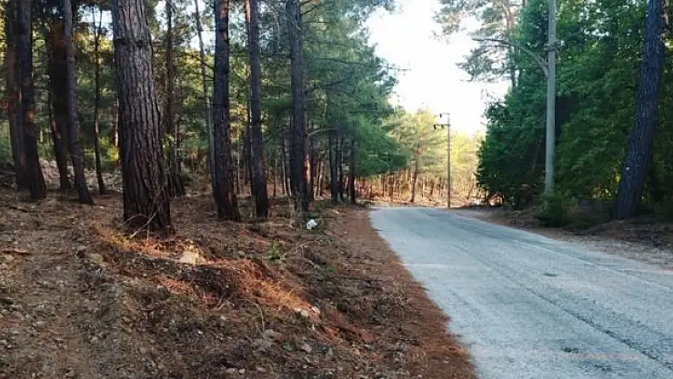 Muğla'da örtü temizliği