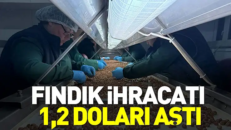 FINDIK İHRACATI 1,2 DOLARI AŞTI