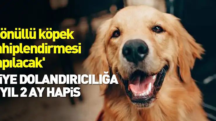 DOLANDIRICILIĞA 4 YIL HAPİS