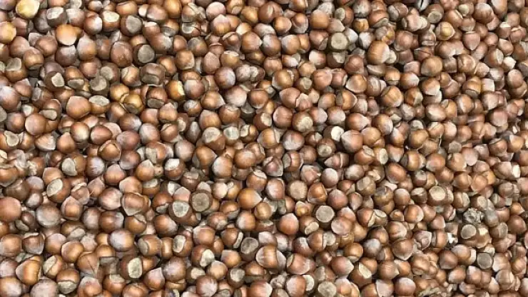 280 bin tonun üzerinde fındık satıldı