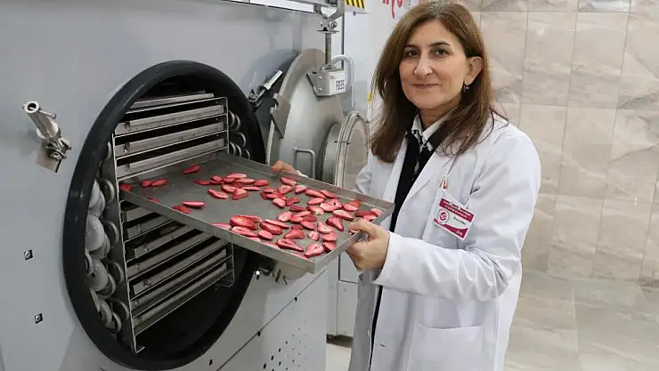 'ÇİÇEKBAMYASI'ERKEN KURUTULACAK