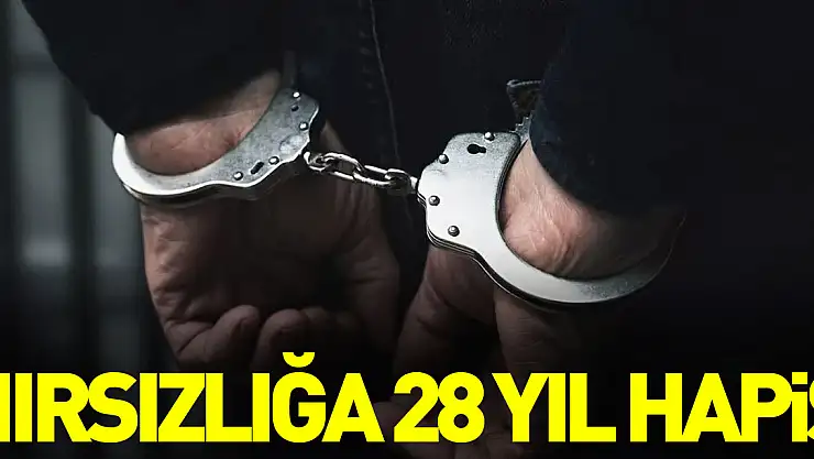 HIRSIZLIĞA 28 YIL HAPİS