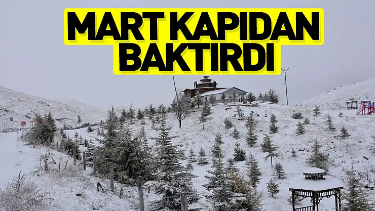 MART KAPIDAN BAKTIRDI