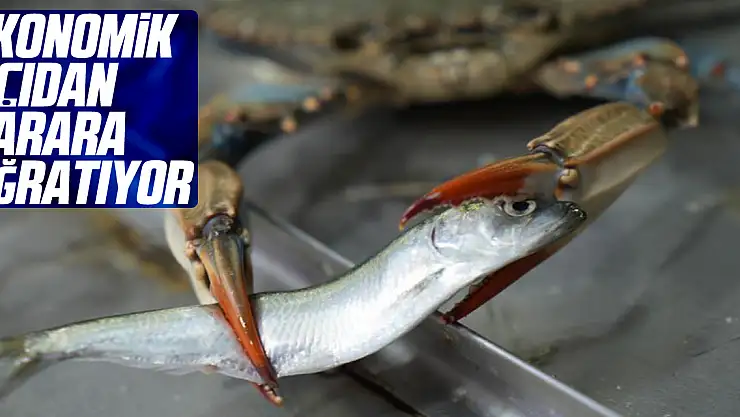 Ekonomik Açıdan Zarara Uğratıyor