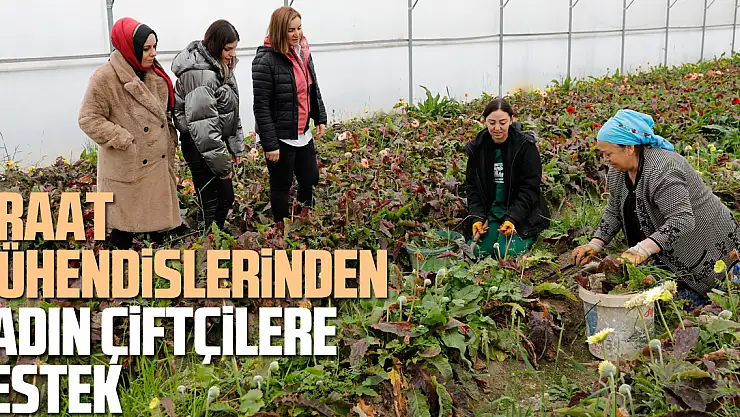 Ziraat Mühendislerinden Kadın Çiftçilere Destek