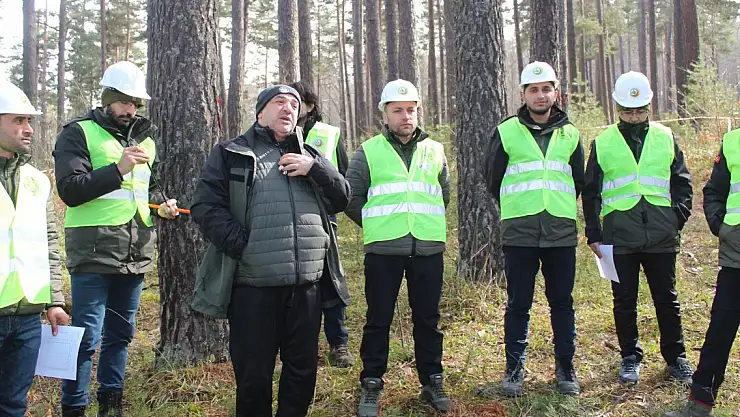 Samsun'da 'Silvikültürel Uygulamaları' eğitimi