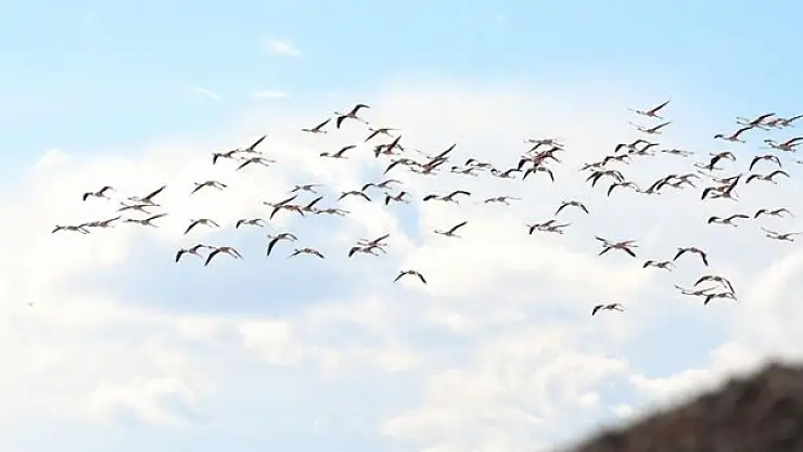 Tuz Gölü'nde görsel şölen