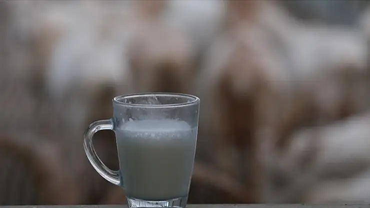 Süt üretiminde ihracat beklentisi arttı