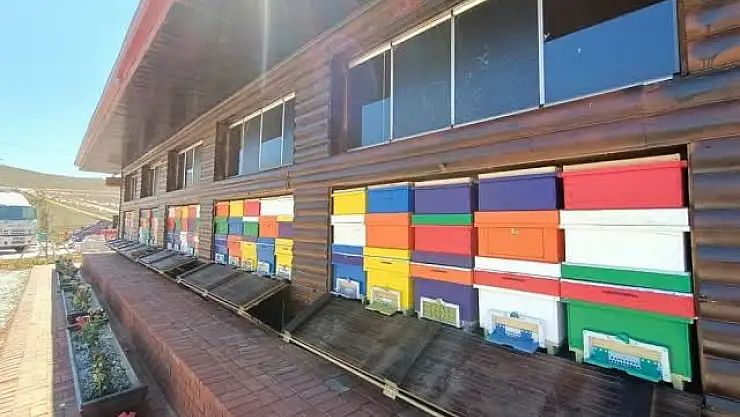 O Proje Türkiye Genelinde Uygulanacak