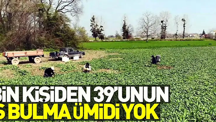 BİN KİŞİDEN 39'UNUN İŞ BULMA ÜMİDİ YOK