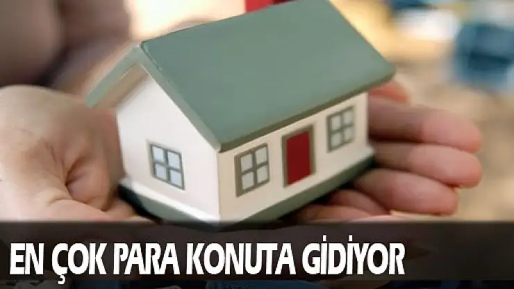 En çok harcama kira ve konuta