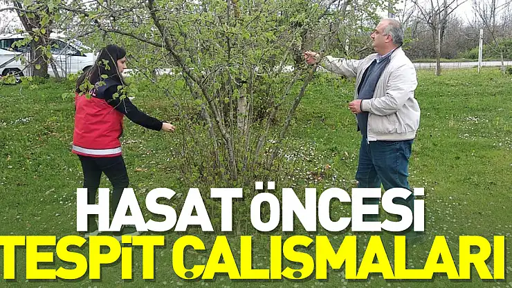 Hasat Öncesi Tespit Çalışmaları