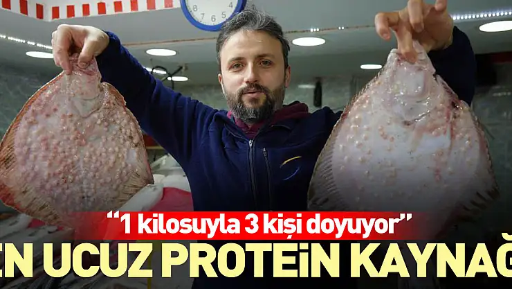 En ucuz protein kaynağı