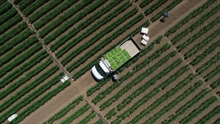 Çiftçilere ödeme yapıldı