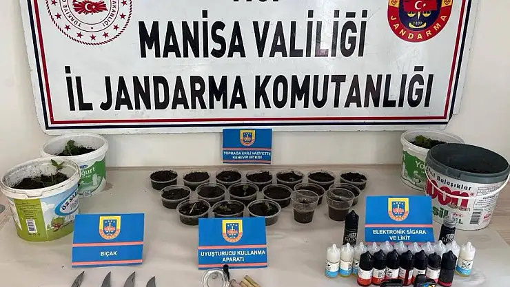 Saksılara ekilmiş 35 kök kenevir ele geçirildi