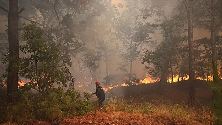Yangınlar devam ediyor