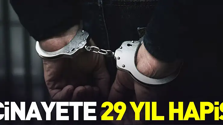 CİNAYETE 29 YIL HAPİS