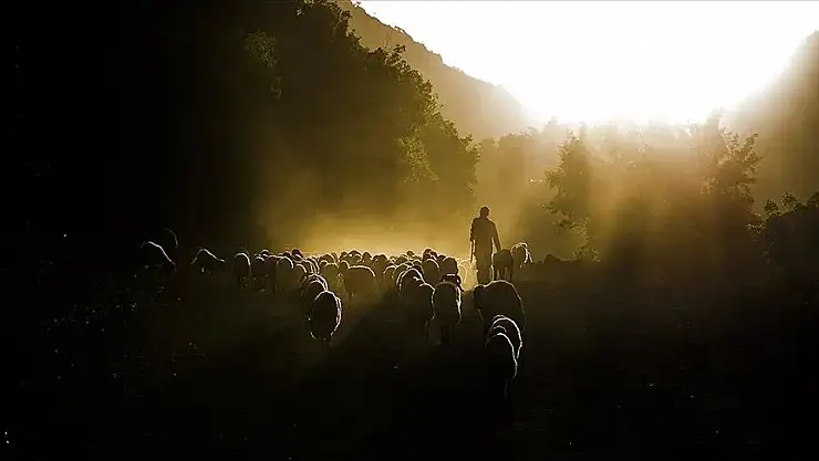 45 proje 210,6 milyon lira hibe alacak