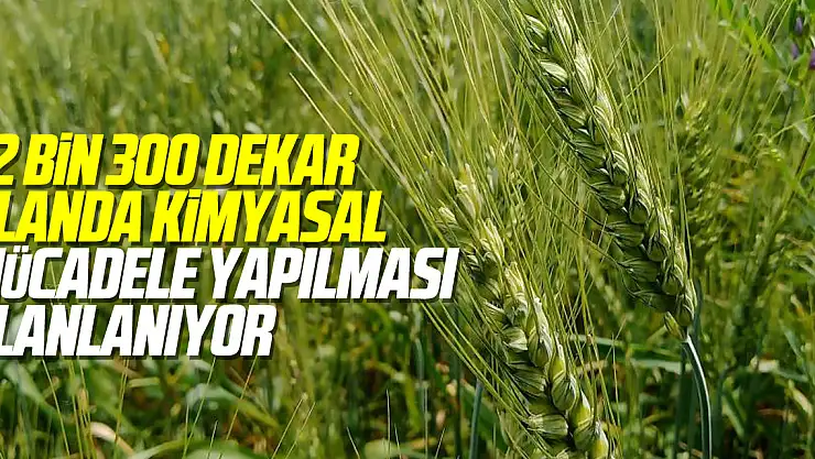22 bin 300 dekar alanda kimyasal mücadele yapılması planlanıyor