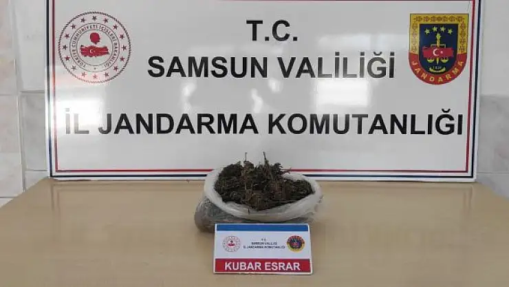 Uyuşturucu operasyonunda 1 yakalama