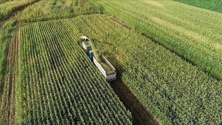 Destekler, tarıma katkı sağlıyor